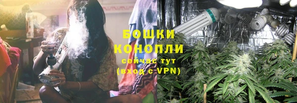 не бодяженный Пересвет
