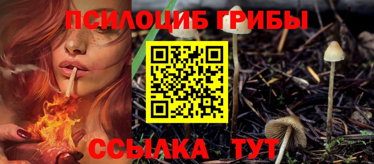 Среднеуральск  Псилоцибиновые грибы Magic Shrooms  Вход с VPN 